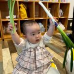 本日は栄縁さん @eien.kagoshima による食育の日でした 今回は野菜スタンプでクリスマスカード 作りを行いました~ 今回は栄縁さんと一緒に来園した 学生さんのご協力もいただきながら にぎやかな時間となりました