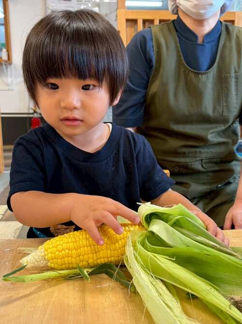 今月の食育活動は旬の食材「とうもろこし」 を使った活動を行いました😊🌽 まずは匂いを嗅いでみたり、皮をむいたり とうもろこしに触れてみました